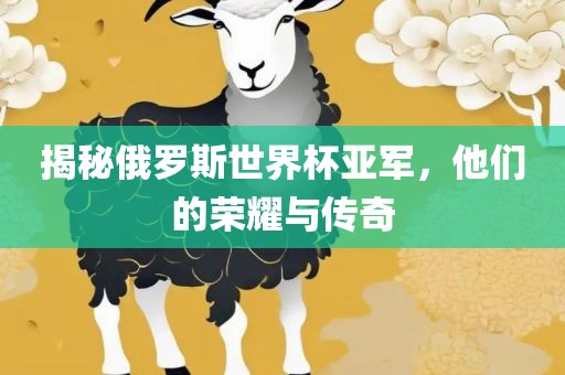 揭秘俄罗斯世界杯亚军，他们的荣耀与传奇眉山市正发家政服务有限公司
