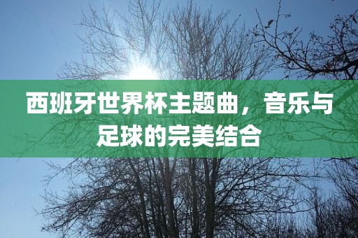 西班牙世界杯主题曲，音乐与足球的完美结合