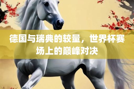 德国与瑞典的较量，世界杯赛场眉山市正发家政服务有限公司上的巅峰对决