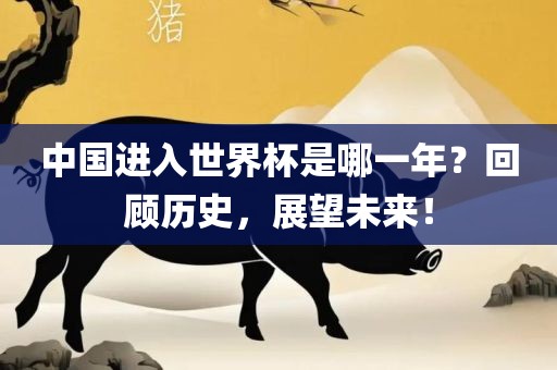 中国进入世界杯是哪一年？回顾历史，展望未来！