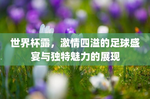 足球盛宴 第10页