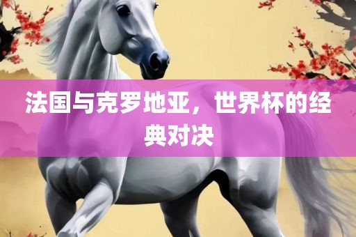 法国与克罗地亚，世界杯的经典对决眉山市正发家政服务有限公司