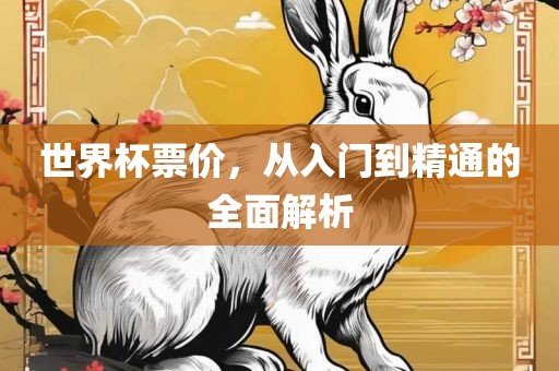 世界杯票价，从入门到精通的全面解析