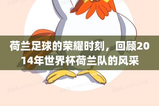 荷兰足球的荣耀时刻，回顾2014年世界杯荷兰队的风采