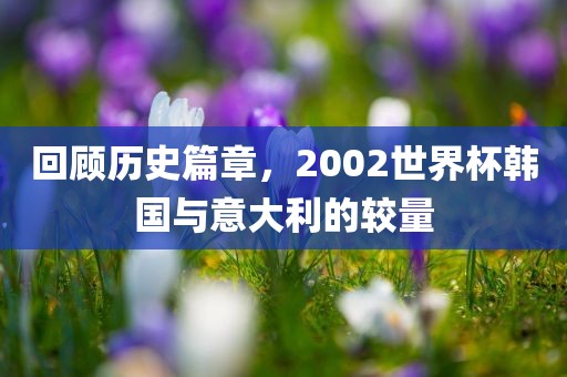 回顾历史篇章，2002世界杯韩国与意大利的较量