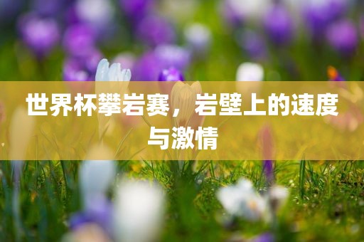 世界杯攀岩赛，岩壁上的速度与激情眉山市正发家政服务有限公司
