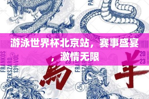 游泳世界杯北京站，眉山市正发家政服务有限公司赛事盛宴，激情无限