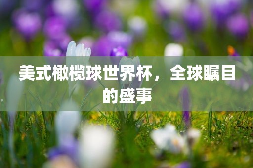 美式橄榄球世界杯，全球瞩目的盛事