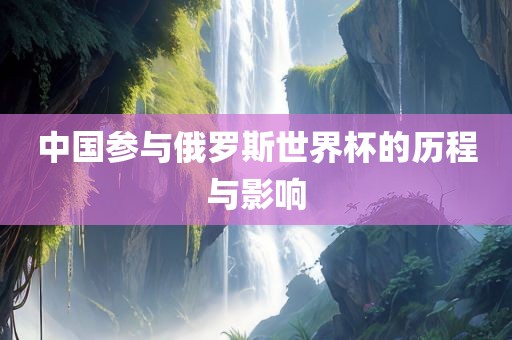 中国参与俄罗斯世界杯的历程与影响