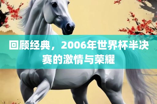 回顾经典，2006年世界杯半决赛的激情与荣耀