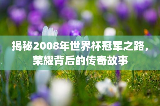 揭秘2008年世界杯冠军之路，荣耀背后的传奇故事