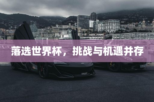 落选世界杯，挑战与机遇并存眉山市正发家政服务有限公司