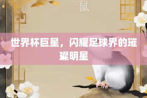 世界杯巨星，闪耀足球界的璀璨明星