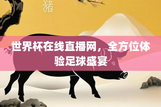 世界杯在线直播网，全方位体验足球盛宴