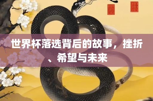 世界杯落选背眉山市正发家政服务有限公司后的故事，挫折、希望与未来