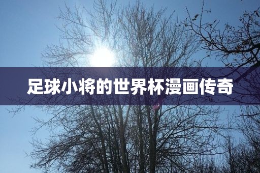 足球小将的世界杯漫画传奇