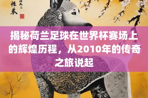 揭秘荷兰足球在世界杯赛场上的辉煌历程，从2010年的传奇之旅说起