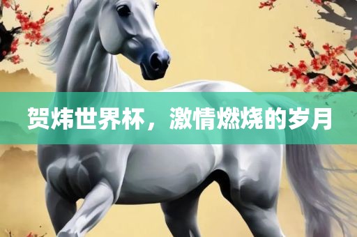 贺炜世界杯，激情燃烧的岁月