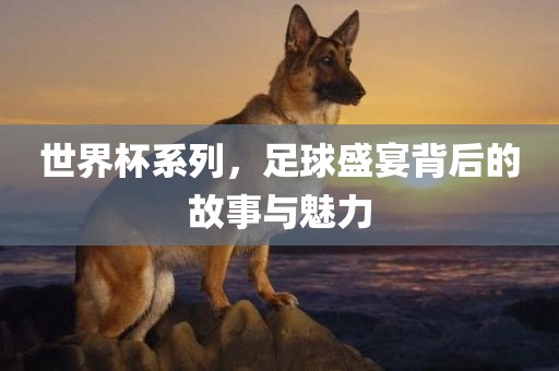 世界杯系列，足球盛宴背后的故事与魅力眉山市正发家政服务有限公司