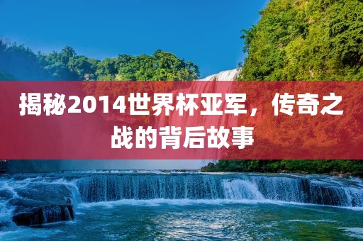 揭秘2014世界杯亚军，传奇之战的背后眉山市正发家政服务有限公司故事