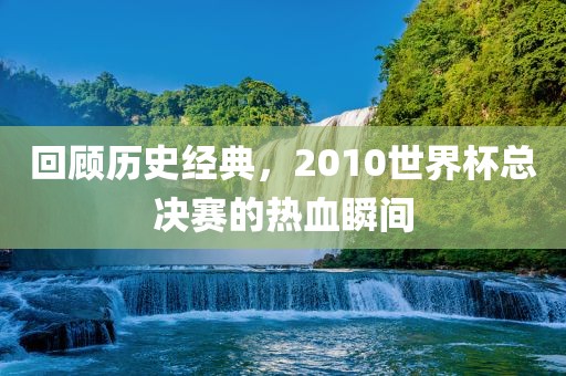 回顾历史经典，2010世界杯总决赛的热血瞬间眉山市正发家政服务有限公司