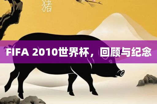 FIFA 2010世界杯，回顾与纪念