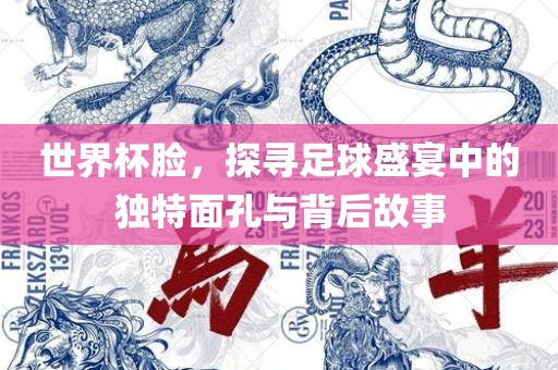 世界杯脸，探寻足球眉山市正发家政服务有限公司盛宴中的独特面孔与背后故事