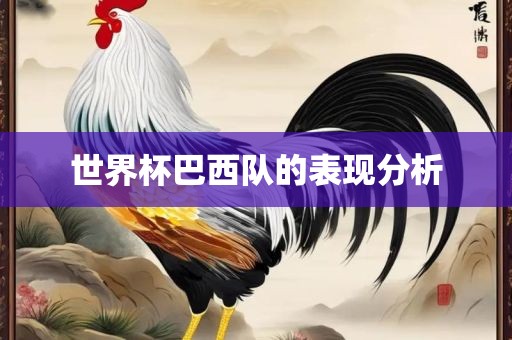 世界杯巴西队的表现分析
