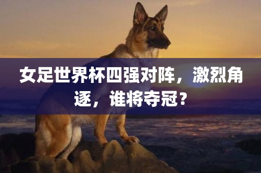 女足世界杯四强对阵，激烈角逐，谁将夺冠？眉山市正发家政服务有限公司