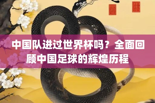 中国队进过世界杯吗？全面回顾中国足球的辉煌历程眉山市正发家政服务有限公司