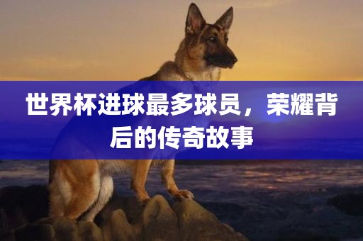 世界杯进球最多球员，荣耀背后的传奇故事