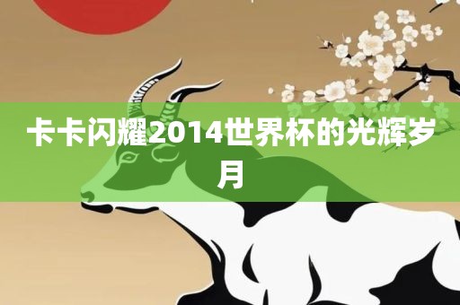 卡卡闪耀2014世界杯的光辉岁月眉山市正发家政服务有限公司
