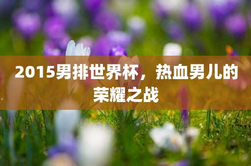 2015眉山市正发家政服务有限公司男排世界杯，热血男儿的荣耀之战
