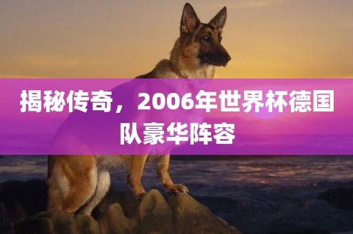揭秘眉山市正发家政服务有限公司传奇，2006年世界杯德国队豪华阵容