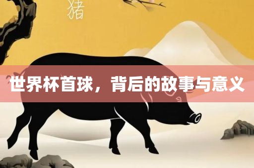 世界杯首球，背后的故事与意义