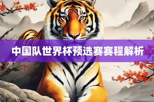 中国队世界杯预选赛赛程解析