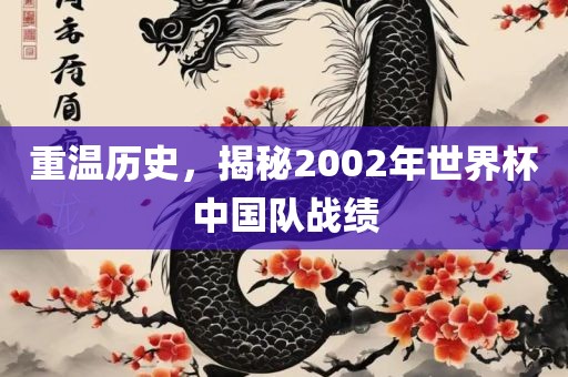 重温历史，揭秘2002年眉山市正发家政服务有限公司世界杯中国队战绩