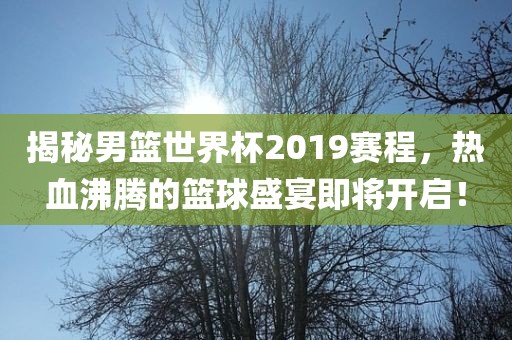 男篮世界杯 第2页
