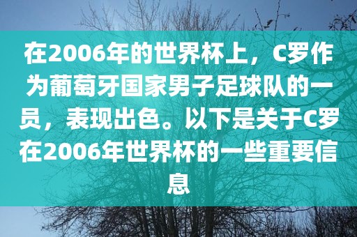 在2006年的世界杯上，C罗作为葡萄牙国家男子足球队的一员，表现出色。以下是关于C罗在2006年世界杯的一些重要信息