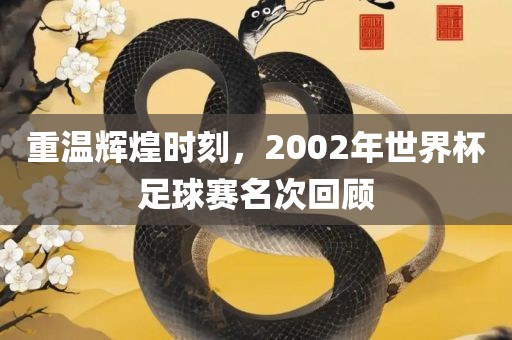 世界杯足球赛 第4页