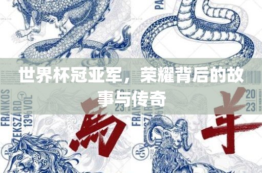 世界杯冠亚军，荣耀背后的故事与传奇