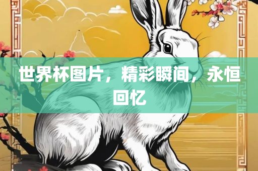 百度热搜 第234页