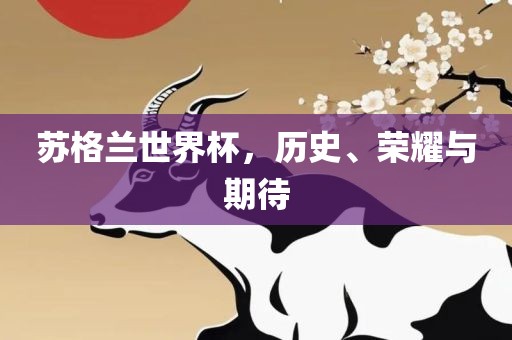 苏格兰世界杯，历史、荣耀与期待