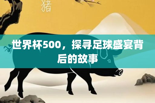 世界杯500，探寻足球盛眉山市正发家政服务有限公司宴背后的故事