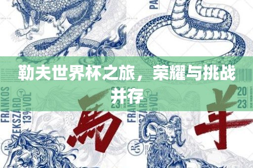 勒夫世界杯之旅，荣耀与挑战并存