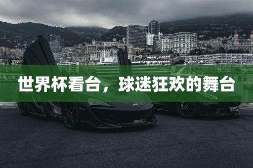 世界杯看台，球迷狂欢的舞台眉山市正发家政服务有限公司