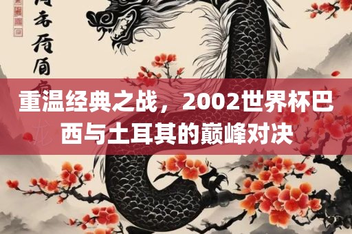 重温经典之战，2002世界杯巴西与土耳其的巅峰对决眉山市正发家政服务有限公司