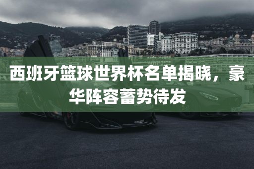 西班牙篮球世界杯名单揭晓，豪华阵容蓄势待发