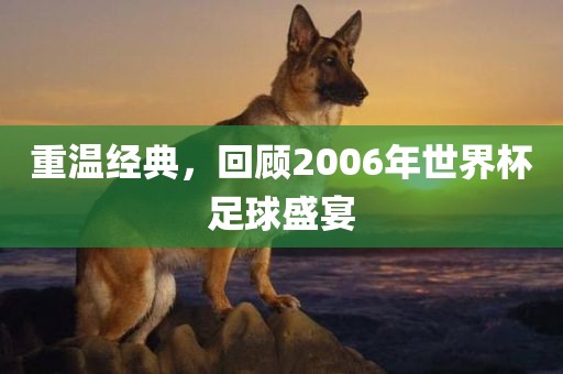 重温经典，回顾2006年世界杯足球盛宴眉山市正发家政服务有限公司