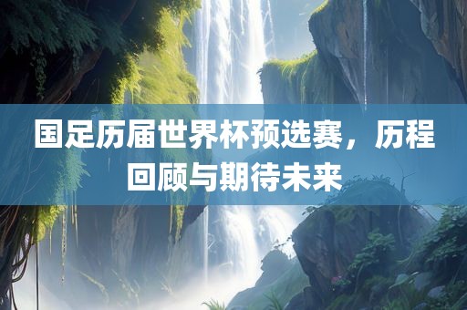 国足历届世界杯预选赛，历程回顾与期待未来